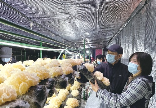 陽臺農業(yè) 小眾群體催生的百億元級市場