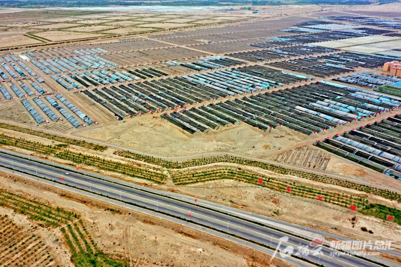 莎車縣戈壁產(chǎn)業(yè)園里，3000座溫室大棚成為荒灘上最具活力的地方。天山網(wǎng)-新疆日報記者 蔡增樂 攝